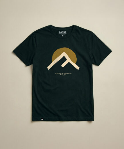 Mountain Arc – Ponderosa Pine
